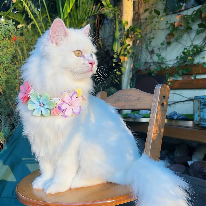 Photography Basic - Prachtige kleurrijke bloemhalsband voor huisdieren, kattenketting,